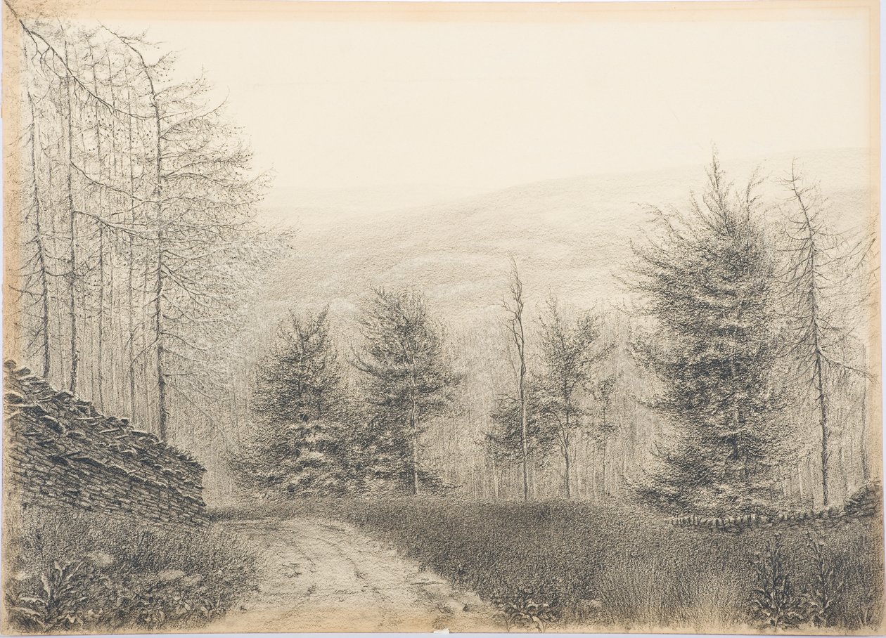 جسر Egglestone ، Teesdale ، c.1916 (تلوين أسود على البطاقة) بواسطة دانيال أوليفر