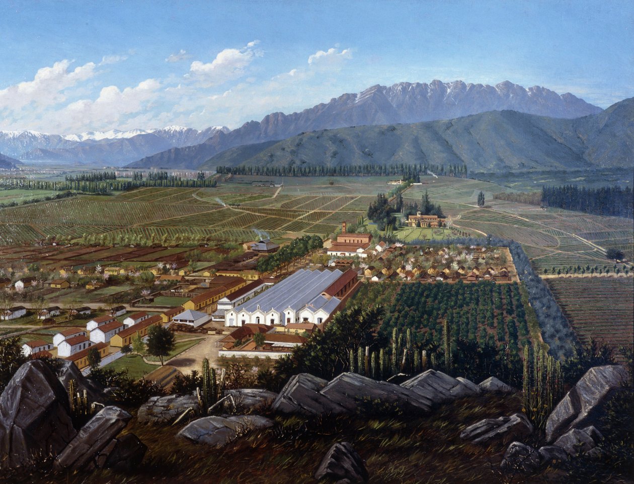 كرم Erranzuriz-Panquehue ، تشيلي ، 1896 بواسطة دانيال إسكوبار