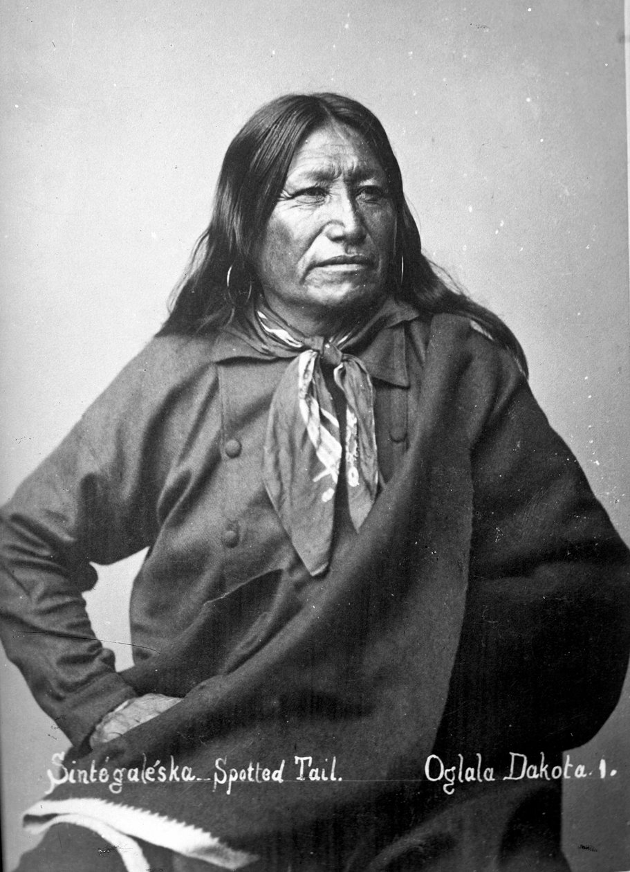 Sintegaleska ، الذيل المرقط ، Oglala Dakota I ، 1880s بواسطة ديفيد فرانسيس باري