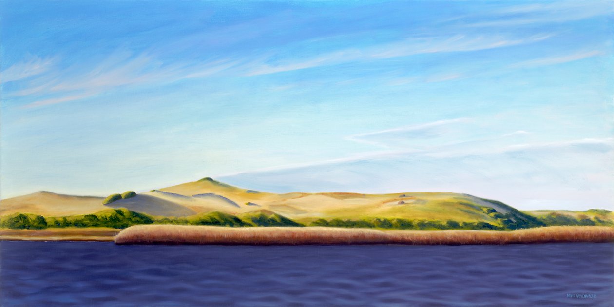  بواسطة ديفيد أرسينولت