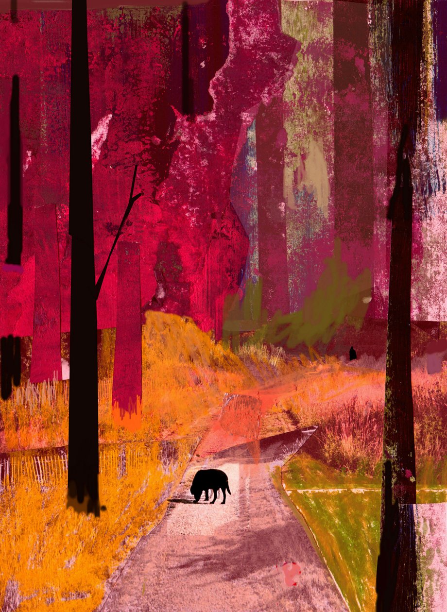 Black Dog, 2013, Collage on Paper بواسطة ديفيد ماكونوتشي