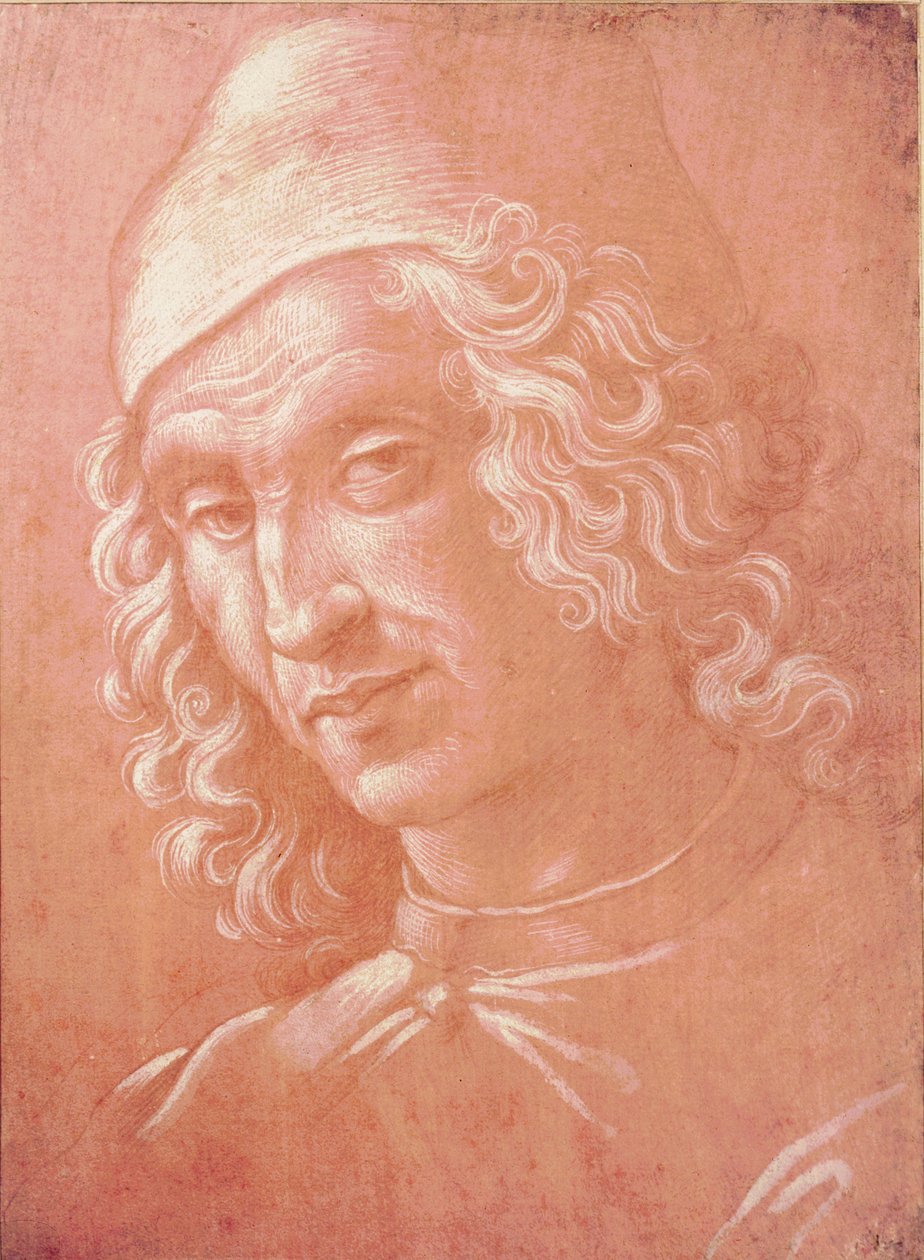 رأس رجل (silverpoint على ورق) بواسطة دافيد غيرلاندايو
