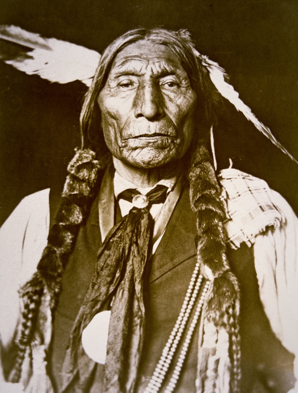 وولف روب (ب 1841) 1909 (صورة ب / ث) بواسطة ديلانسي دبليو جيل