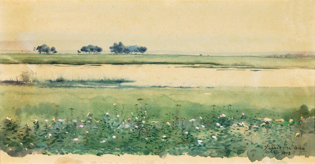 منظر طبيعي مع الأهوار ، 1898. بواسطة دي لانسي جيل