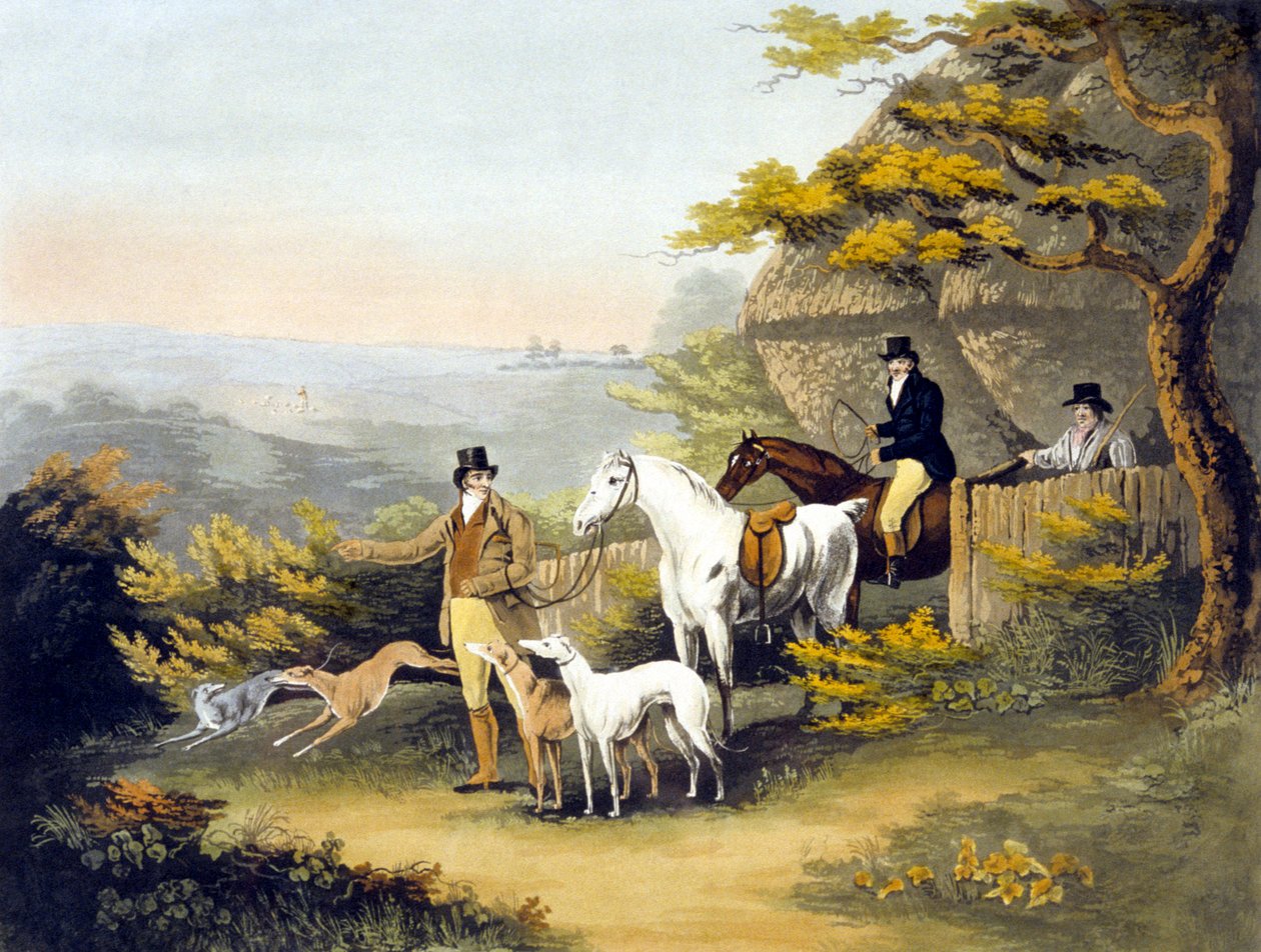 Coursing, plate 1, engraved by R.G. Reeve بواسطة عميد الصغرى. (بعد) ولستنهولمي