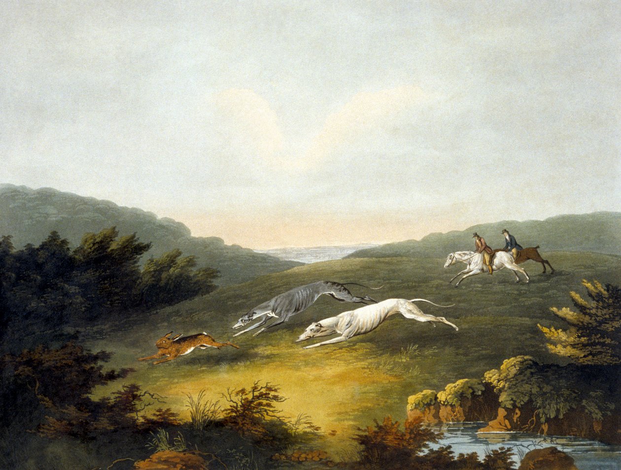 Coursing, plate 2, engraved by R.G. Reeve بواسطة عميد الصغرى. (بعد) ولستنهولمي