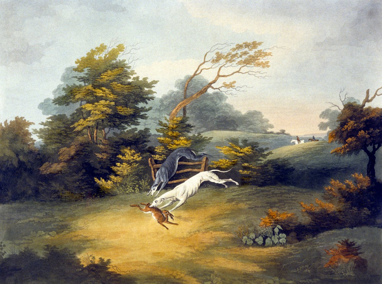 Coursing, plate 4, engraved by R.G. Reeve بواسطة عميد الصغرى. (بعد) ولستنهولمي