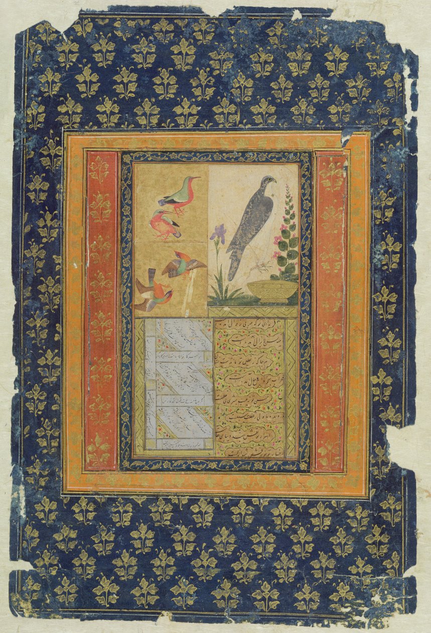 دراسة الطيور والخط ، جولكوندا ، أندرا براديش ، 1570 ، (الغواش والحبر والذهب على الورق مع حدود مزخرفة) بواسطة مدرسة ديكاني