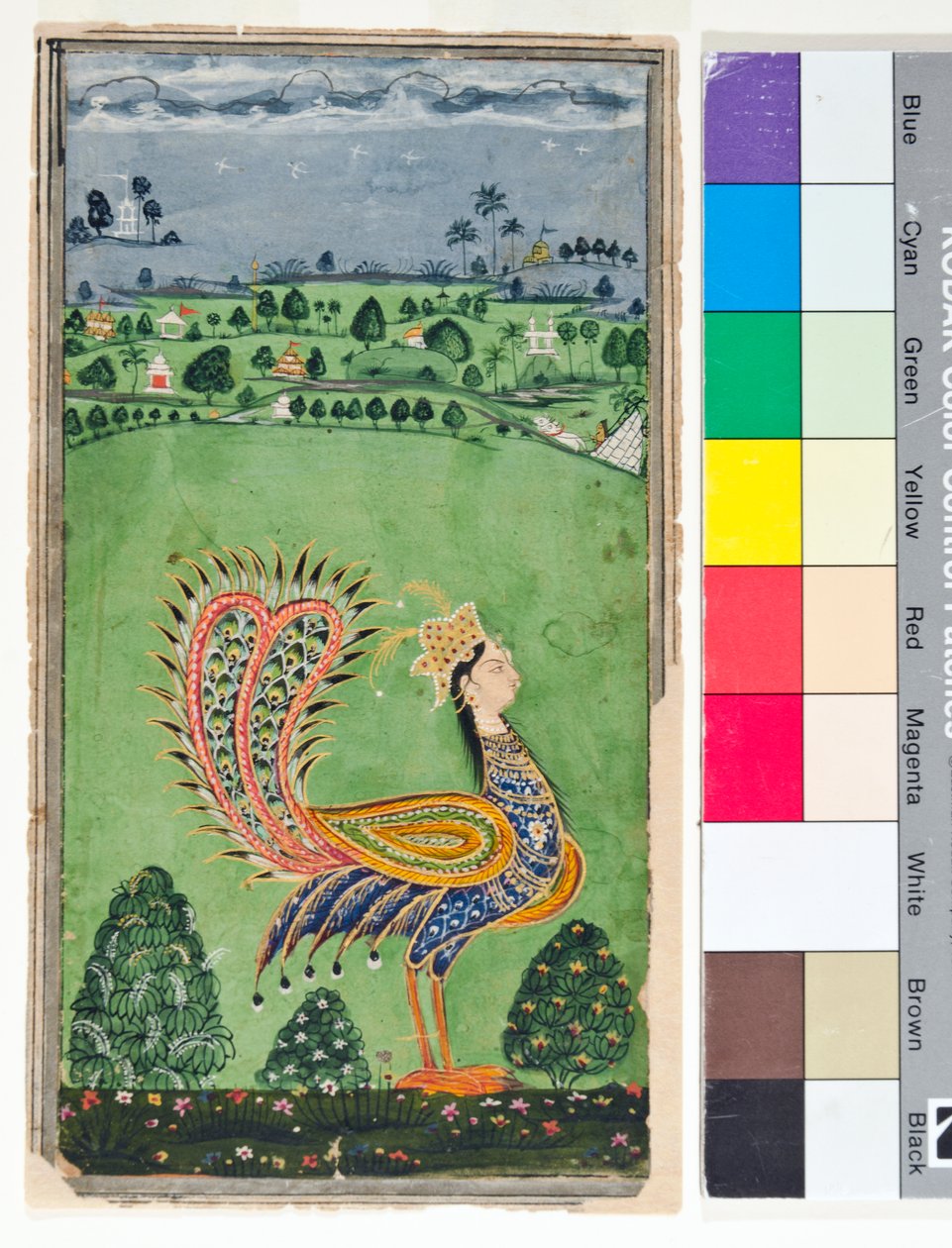 طاووس أسطوري برأس امرأة ، حوالي عام 1750 (معتم ث - ج وذهبي على ورق) بواسطة مدرسة ديكاني