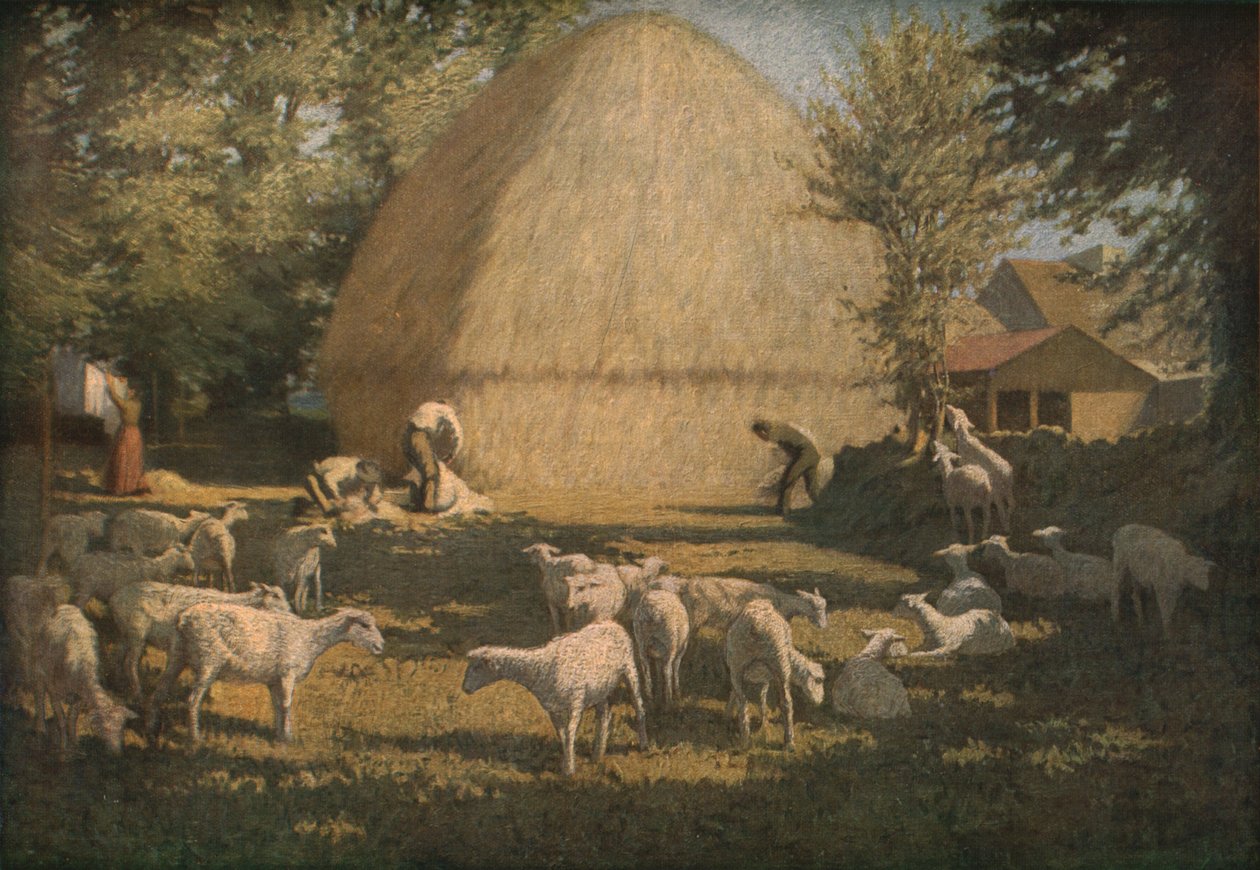 "قص الأغنام" ، 1901 ، 1930. بواسطة ديرمود أوبراين