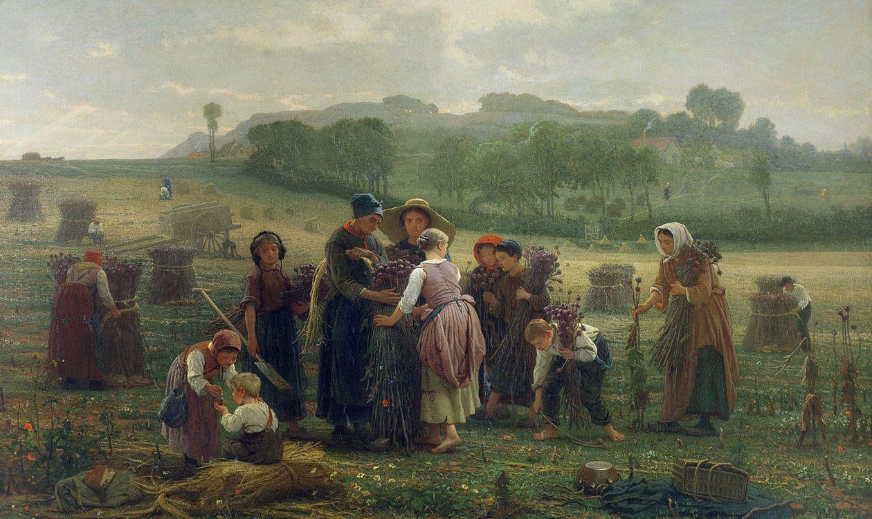 حصاد الخشخاش في بيكاردي ، 1860 بواسطة رغبة فرانسوا لاوج