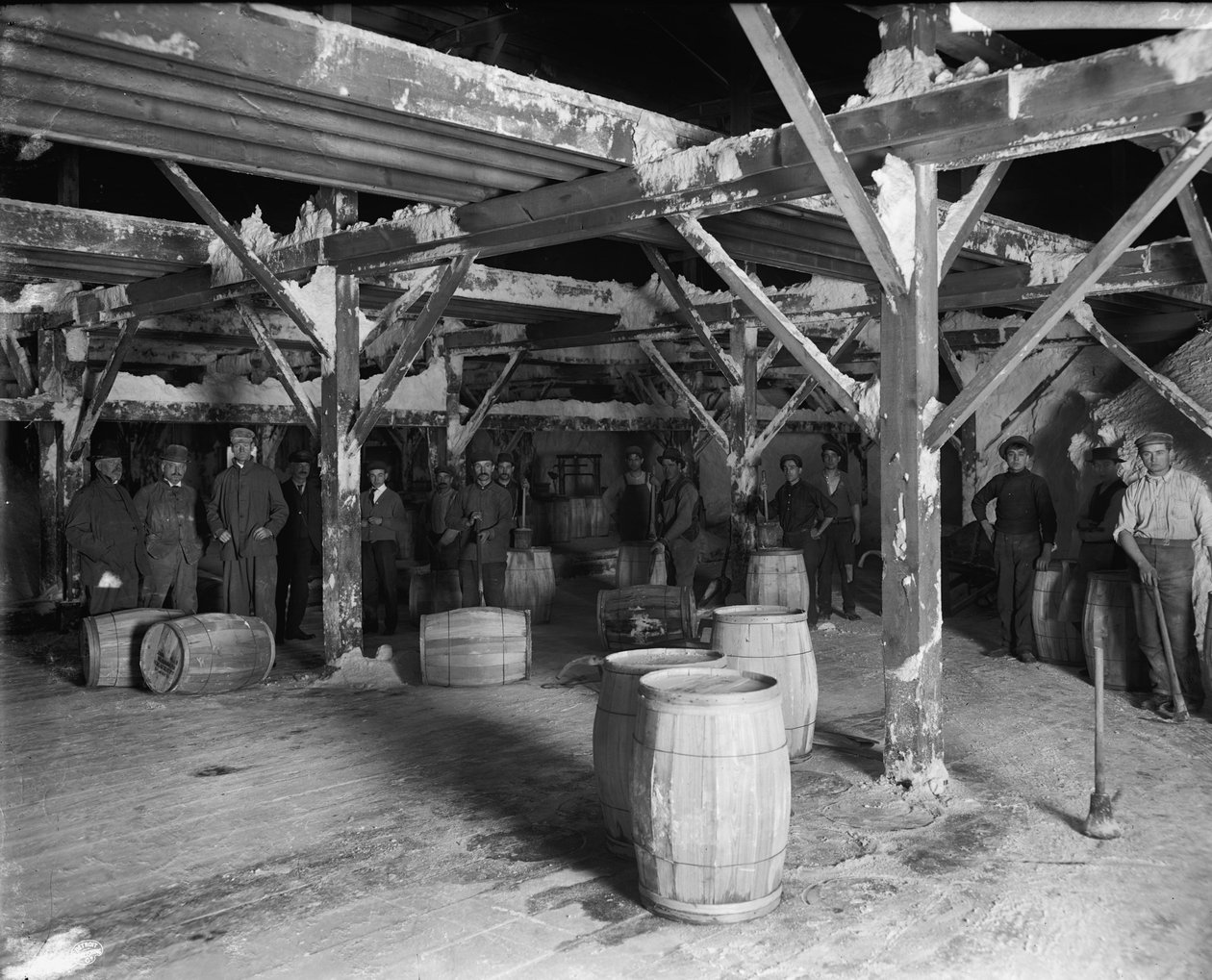 شركة ديل راي سالت ، c.1900-20 بواسطة شركة ديترويت للنشر