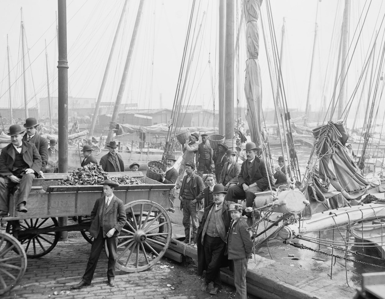 تفريغ محار المحار ، بالتيمور ، ماريلاند ، 1905 بواسطة شركة ديترويت للنشر