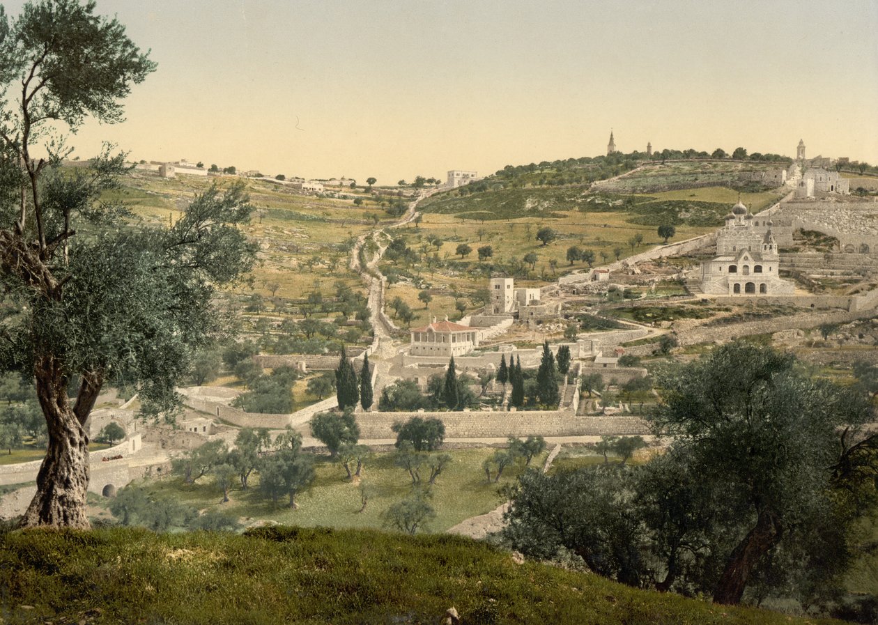 جبل الزيتون والجثسيماني ، منظر عام ، القدس ، حوالي 1890 - 1900 (طبعة ضوئية) بواسطة شركة ديترويت للتصوير