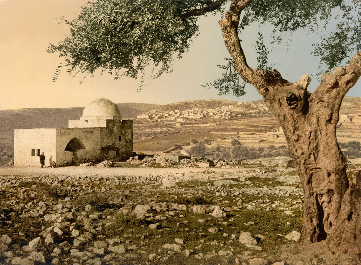 قبر راحيل ، القدس ، الأرض المقدسة ، 1890 - 1900 (طباعة ضوئية) بواسطة شركة ديترويت للتصوير