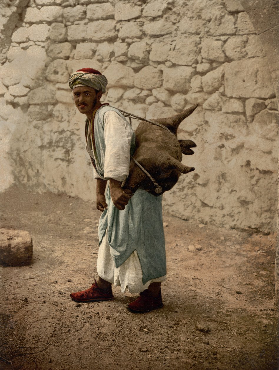 حاملة مياه القدس ، الأرض المقدسة ، حوالي 1890 - 1900 (طباعة ضوئية) بواسطة شركة ديترويت للتصوير