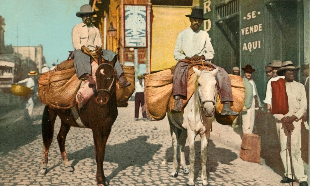 رجال الخضروات ، هافانا ، كوبا ، 1904. بواسطة شركة ديترويت الفوتوغرافية