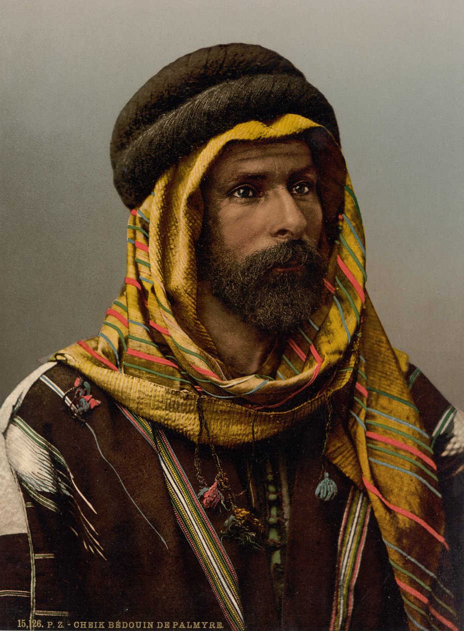 رئيس بدوي لمدينة تدمر ، 1890-1900 (طباعة ضوئية) بواسطة شركة ديترويت للنشر