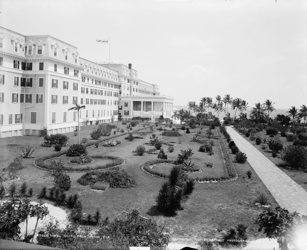 فندق رويال بالم ، ميامي ، فلوريدا ، c.1900 بواسطة شركة ديترويت للنشر