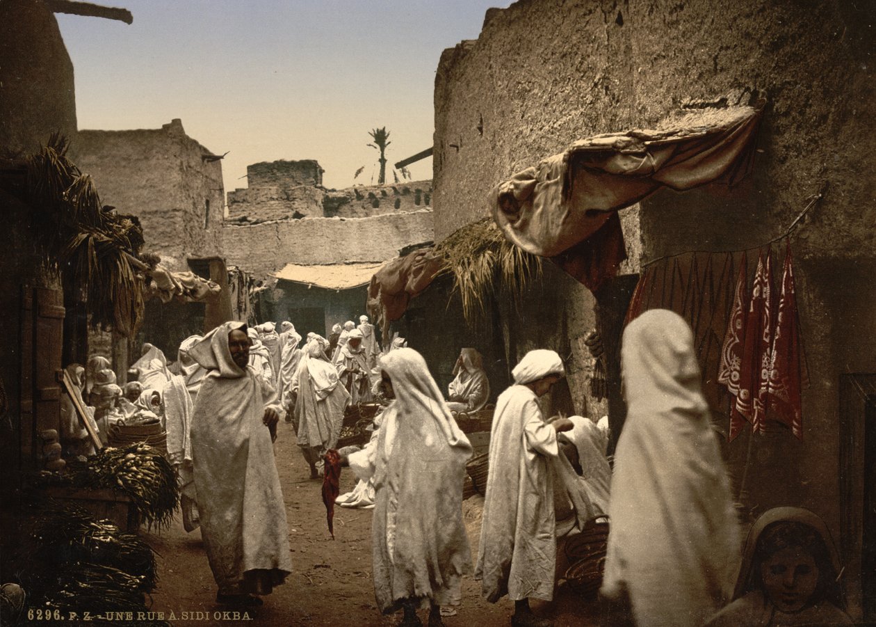 شارع جزائري في سيدي عقبة ، 1899 (فوتوكروم) بواسطة شركة ديترويت للنشر