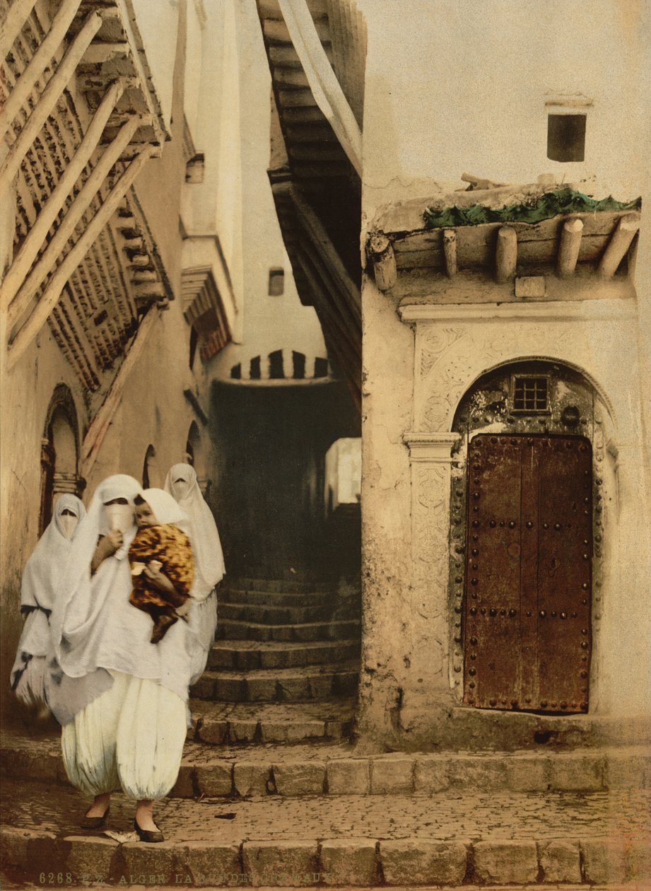 شارع الإبل ، الجزائر ، سنة 1899 (فوتوكروم) بواسطة شركة ديترويت للنشر