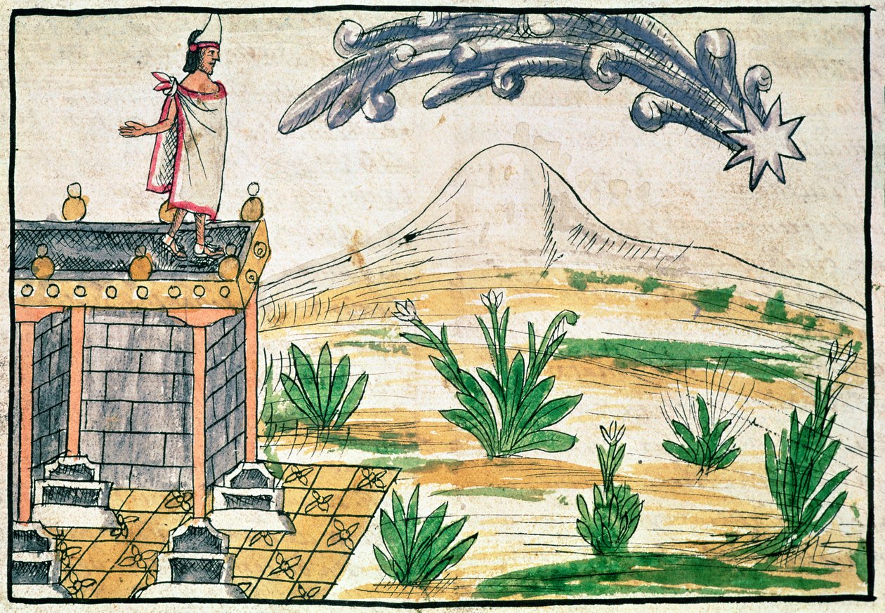 مونتيزوما الثاني (1466-1520) يشاهد المذنب ، 1579 (الرق) بواسطة دييغو دوران