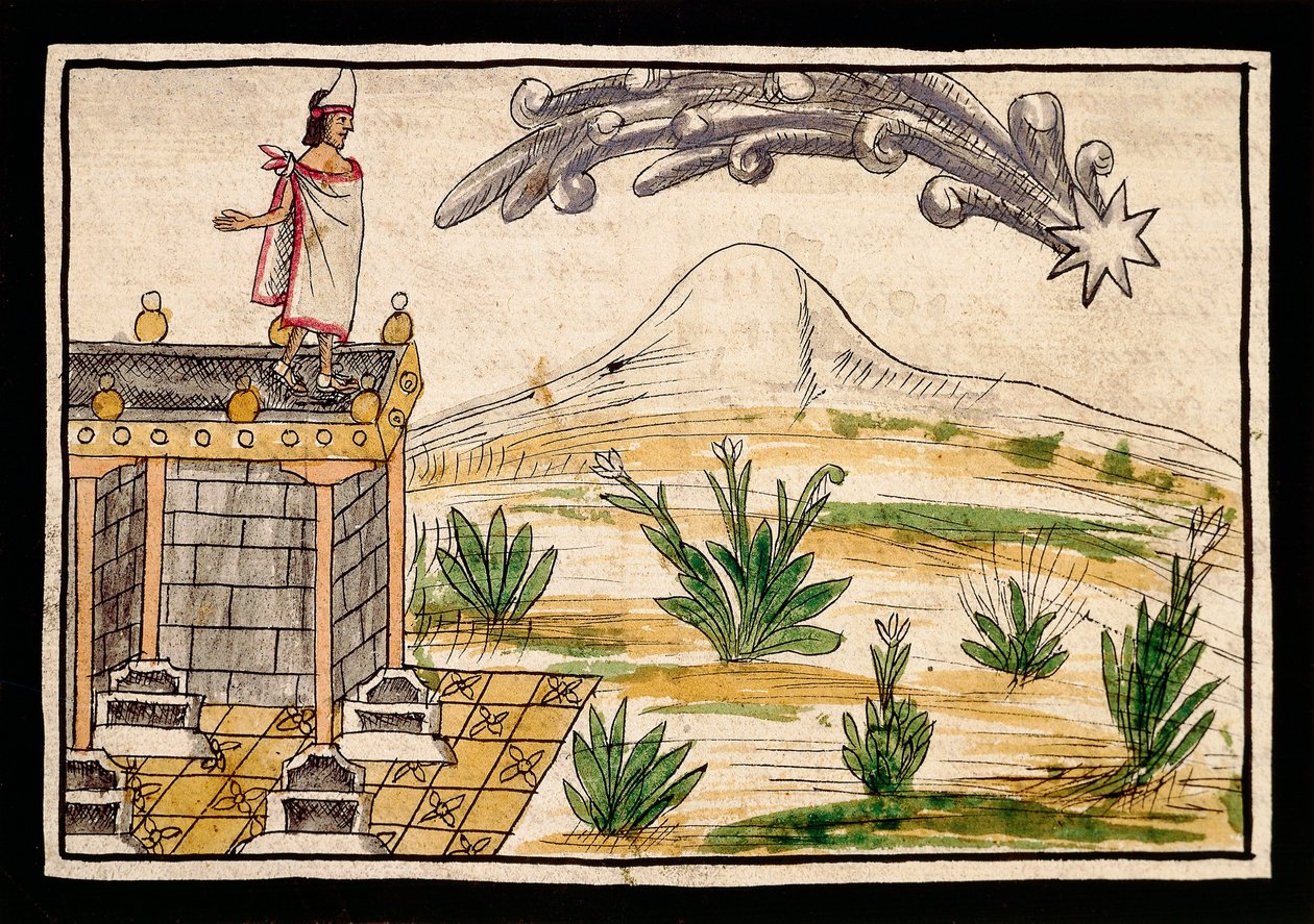 مونتيزوما يراقب المذنب ، صورة مصغرة من تاريخ جزر الهند بواسطة دييغو دوران (1537-1588) بواسطة دييغو دوران