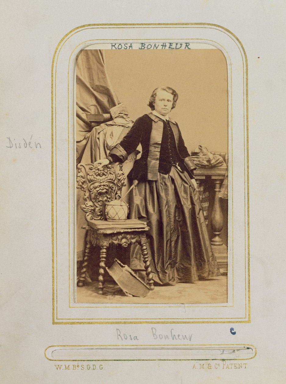 صورة روزا بونور (1822-99) بواسطة تنكر