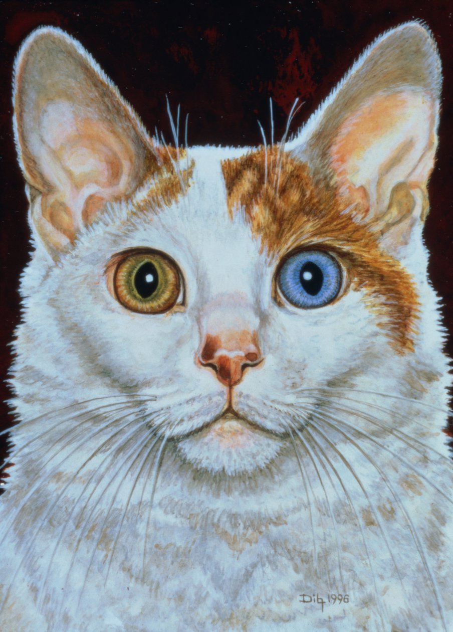 Minette ، 1996 (أكريليك على لوح) بواسطة ديتز