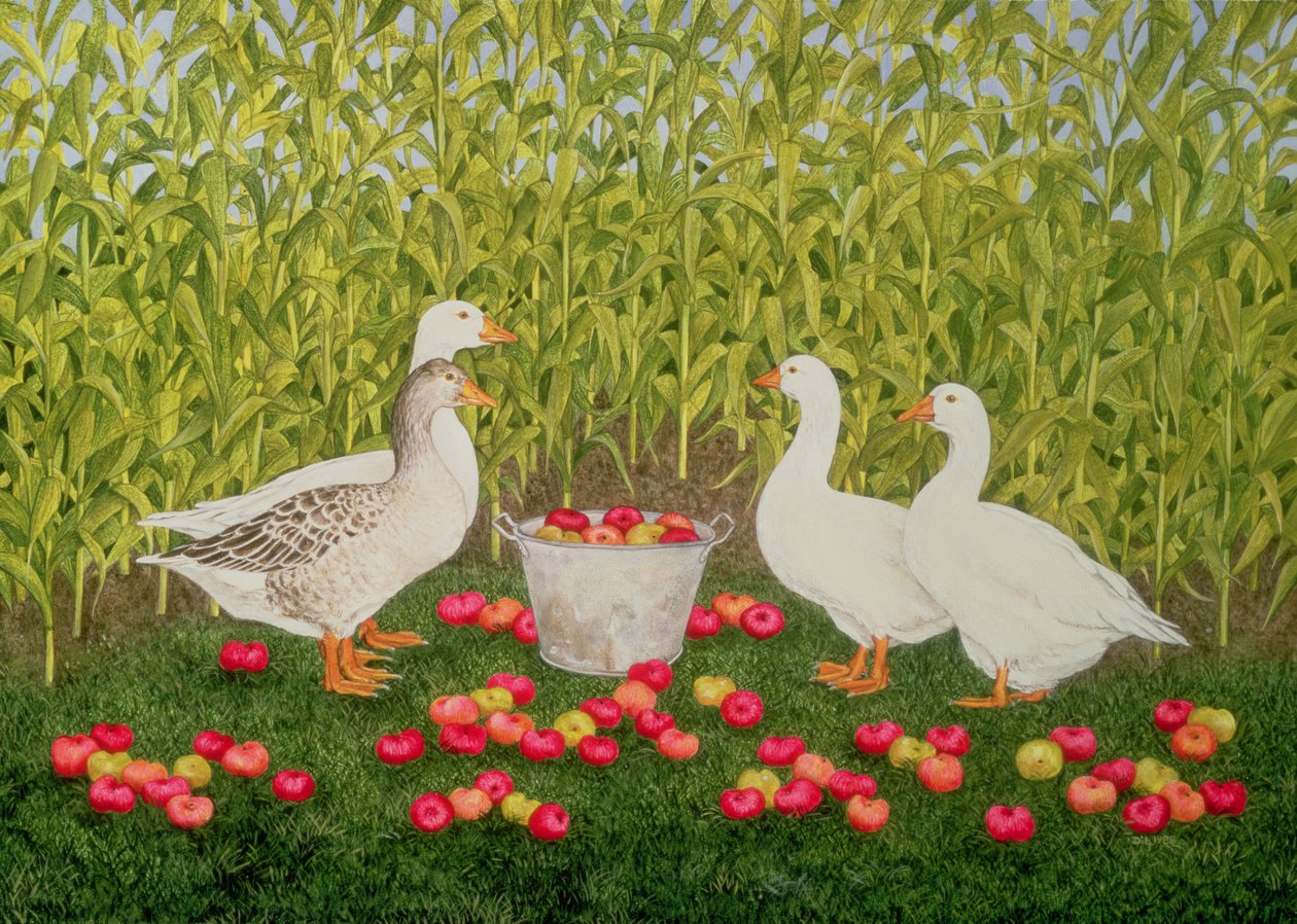 Sweetcorn-Geese بواسطة ديتز