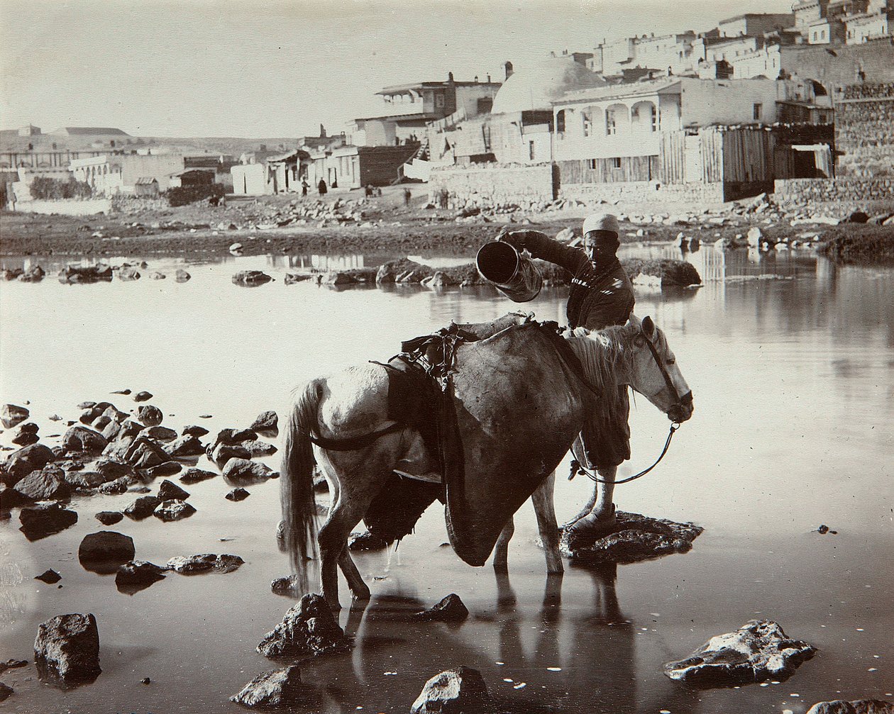 مكان الري ، 1880s بواسطة دميتري إيفانوفيتش يرماكوف