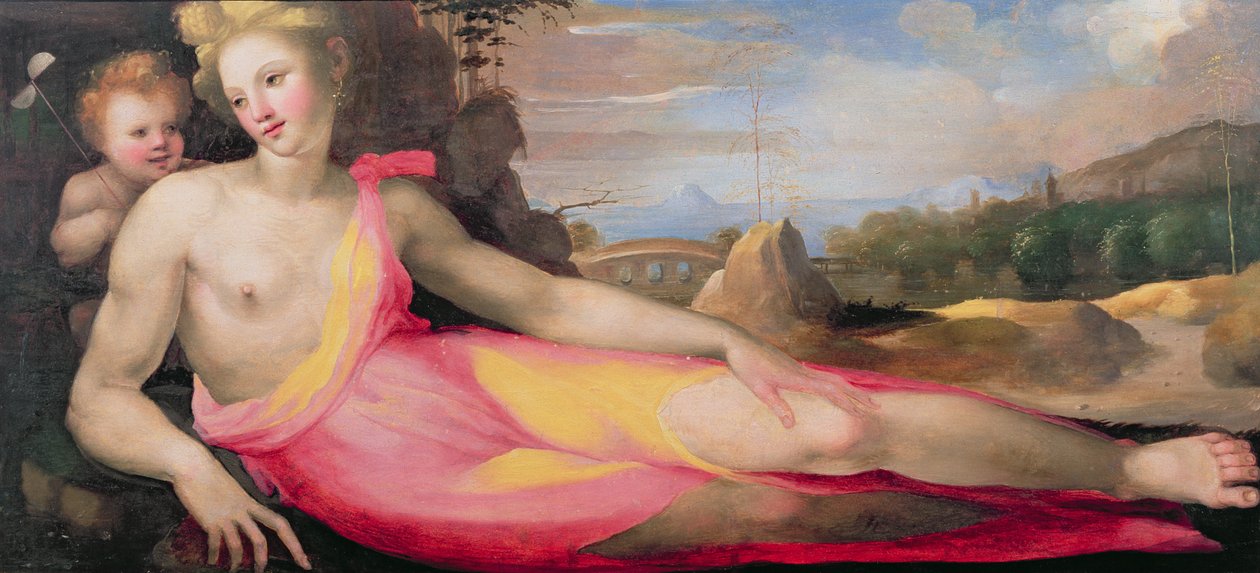 فينوس وكيوبيد ، ج .1519 (لوحة) بواسطة Domenico di Pace Beccafumi