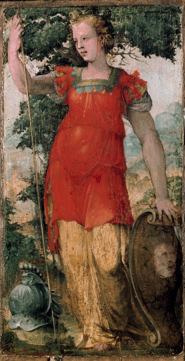 شخصية أنثوية ، ربما مينيرفا. لوحة لدومينيكو بيكافومي (1486-1551). بواسطة دومينيكو بيكافومي