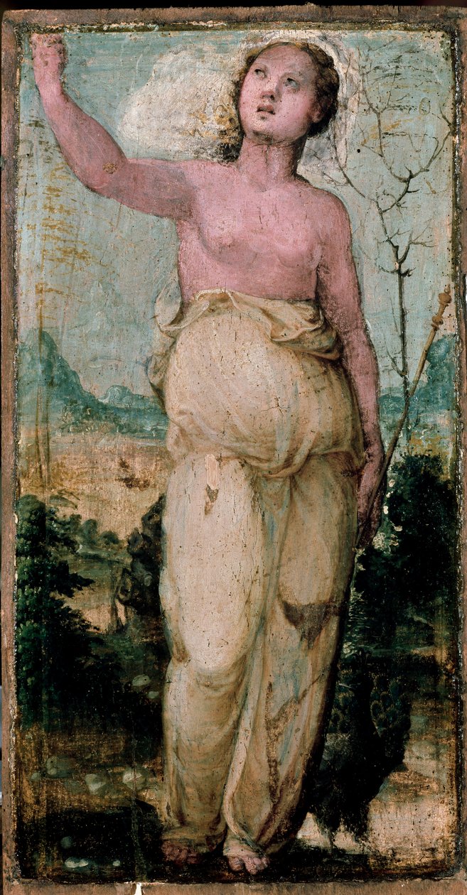 شخصية أنثوية. لوحة لدومينيكو بيكافومي (1486-1551). سيينا ، كونسيرفاتوريو بواسطة دومينيكو بيكافومي
