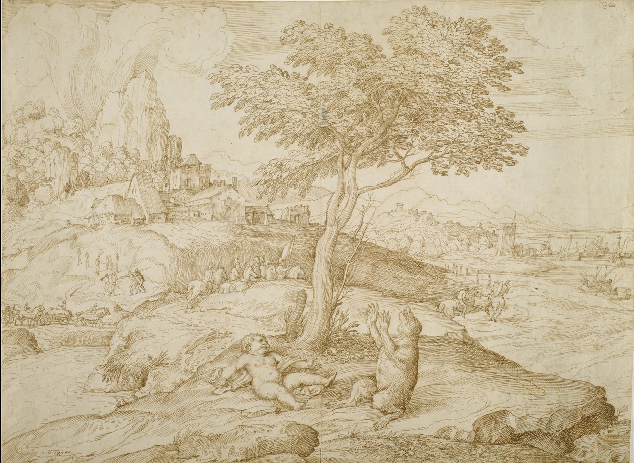 تحول كاليستوس إلى دب بعد ولادة أركاس ، c.1558 (قلم وحبر بني على ورق قشدي) بواسطة دومينيكو كامبانيولا