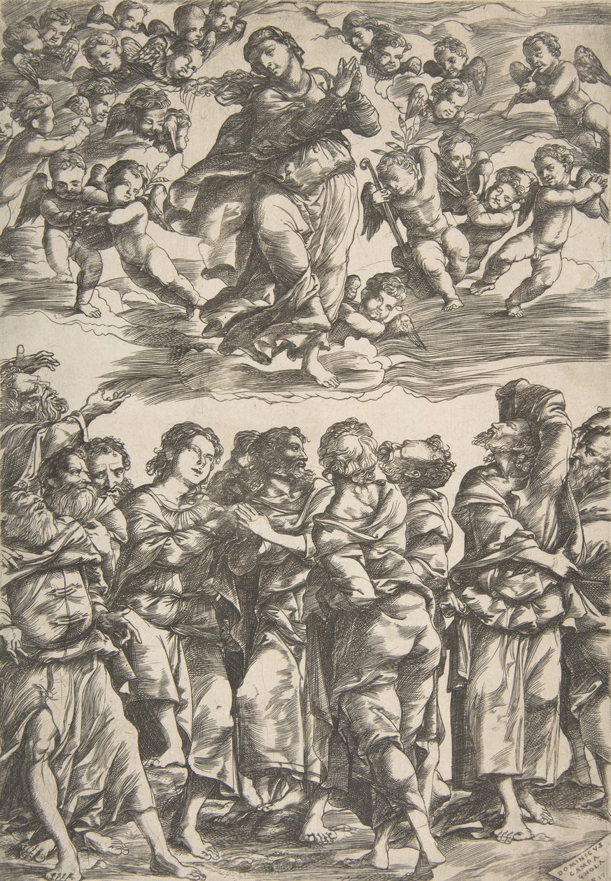 العذراء في أعلى الوسط في الغيوم ويداها متشابكتان ورجل يمنى مرفوعة ، وتحيط بها ... ، 1517. بواسطة دومينيكو كامبانيولا