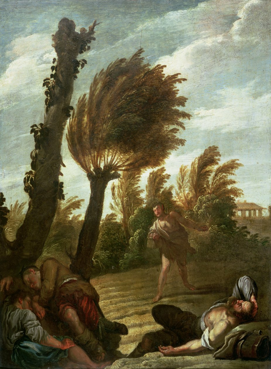 مثل زارع تاريس ، 1620 - 2121 بواسطة دومينيكو فيتي أو فيتي