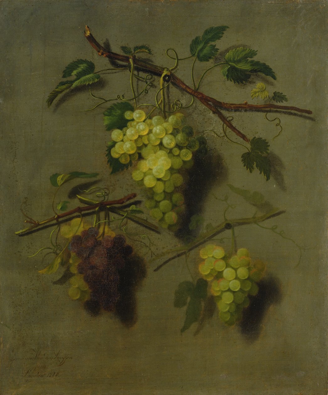 الحياة الساكنة ، 1738 بواسطة Dominicus Van der Smissen