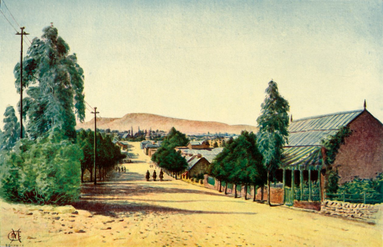 بلومفونتين ، 1901. بواسطة دونالد إي مكراكين