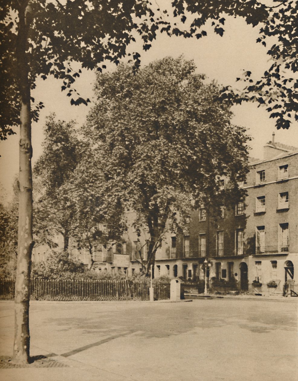 في Boarding-House Land: The Plane Trees of Torrington Square ، c1935. بواسطة دونالد ماكليش