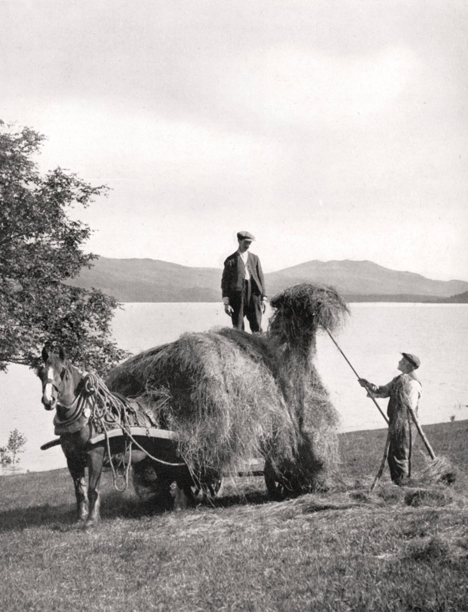 تحميل التبن على عربة على شواطئ بحيرة لوموند ، اسكتلندا ، 1924-1926. بواسطة دونالد ماكليش