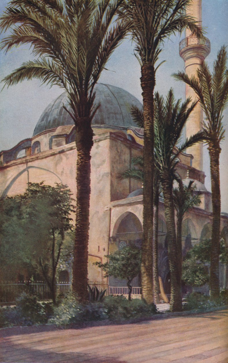 فلسطين ، ج 1930 بواسطة دونالد ماكليش