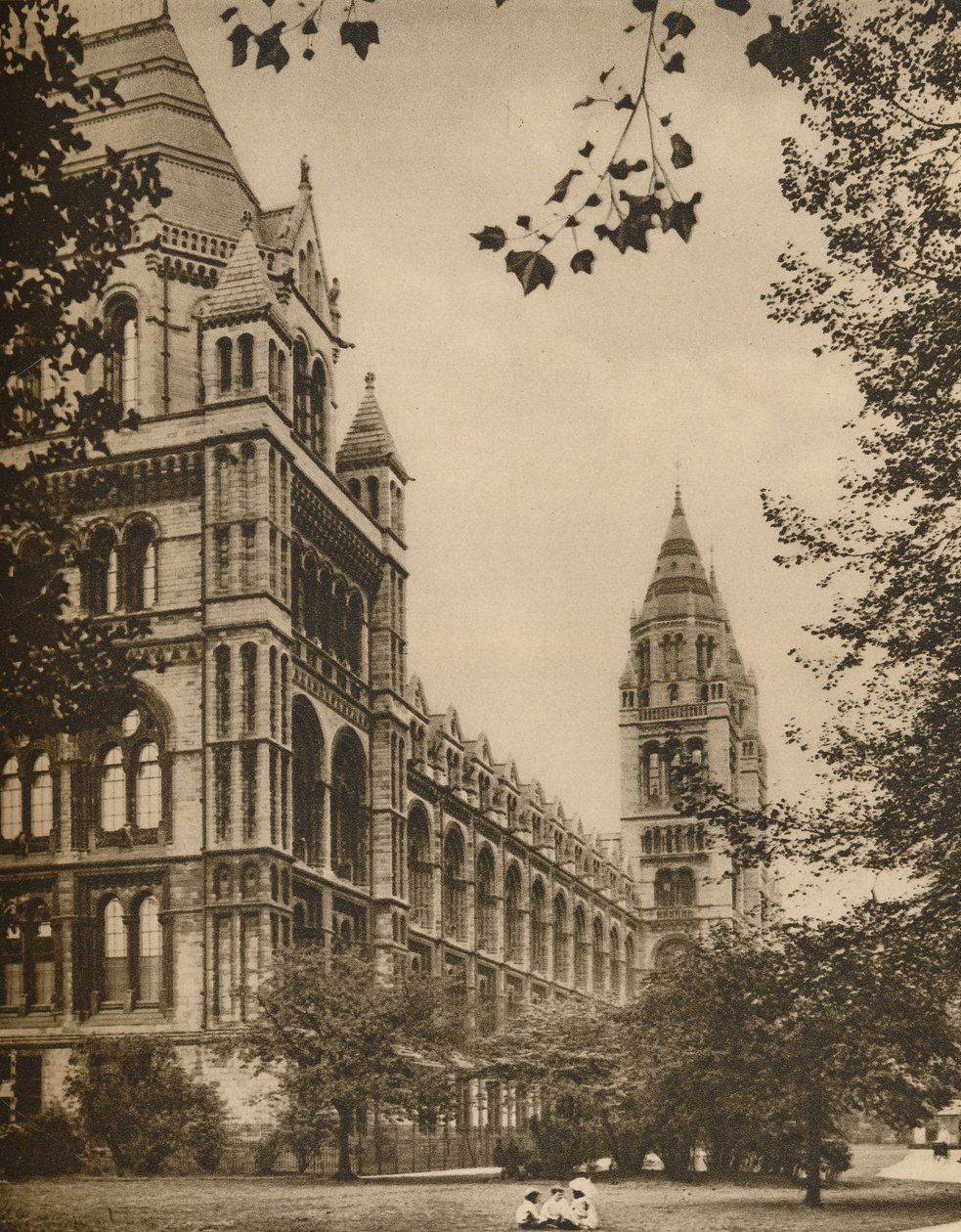 الجبهة الرومانية لمتحف التاريخ الطبيعي ، c1935. بواسطة دونالد ماكليش