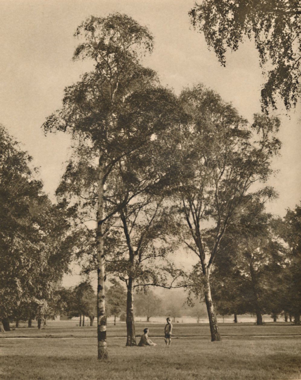 The Lace-Work of the Leaves: A Summer Morning in Hyde Park ، c1935. بواسطة دونالد ماكليش