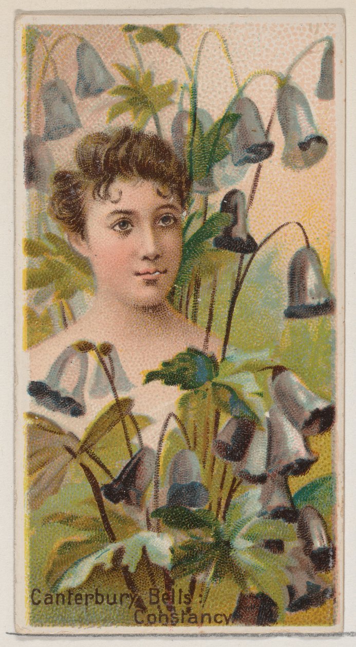 أجراس كانتربري: الثبات ، من سلسلة الجمال الزهري ولغة الزهور N75 ... ، 1892. بواسطة دونالدسون براذرز