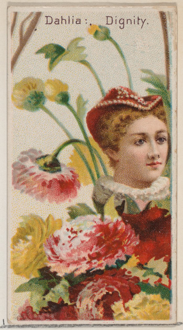 Dahlia: Dignity ، من سلسلة الأزهار الجميلة ولغة الزهور N75 لدوق br ... ، 1892. بواسطة دونالدسون براذرز