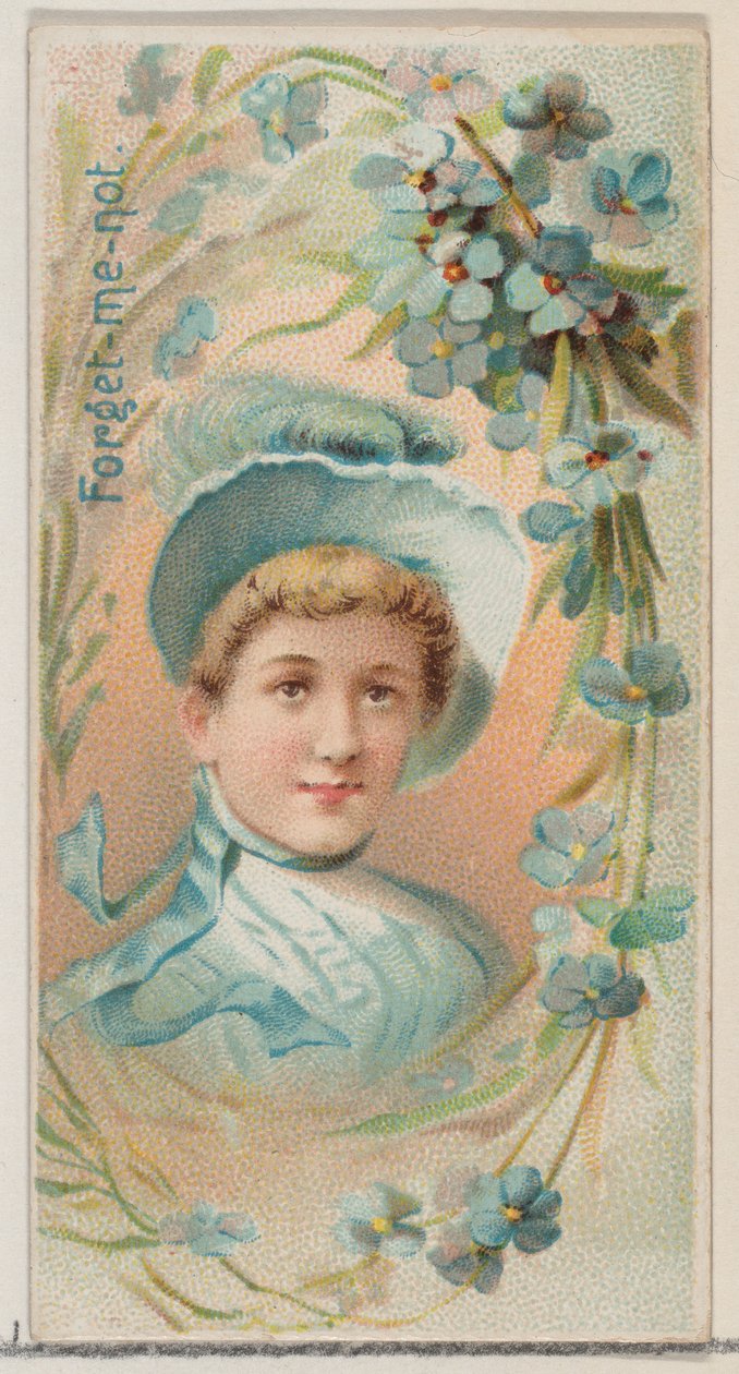 Forget-Me-Not ، من سلسلة Floral Beauties and Language of Flowers N75 لـ Duke Bran ... ، 1892. بواسطة دونالدسون براذرز