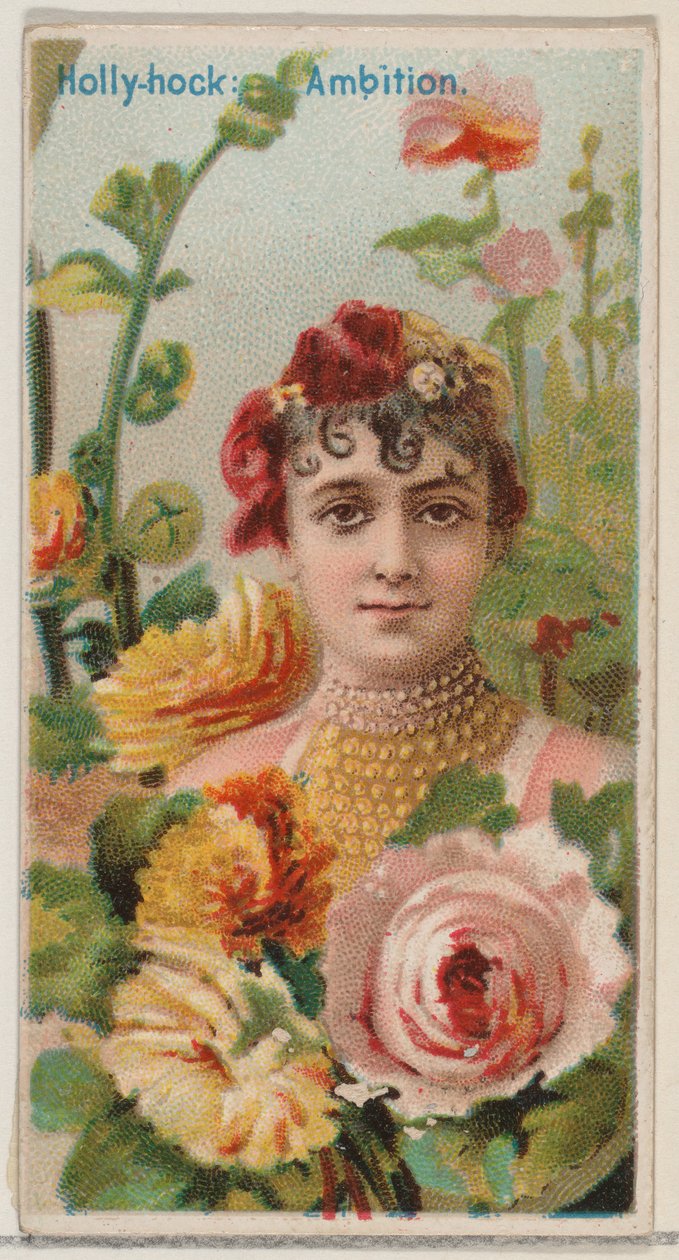 Hollyhock: Ambition ، من سلسلة الأزهار الجميلة ولغة الزهور N75 لدوك ... ، 1892. بواسطة دونالدسون براذرز