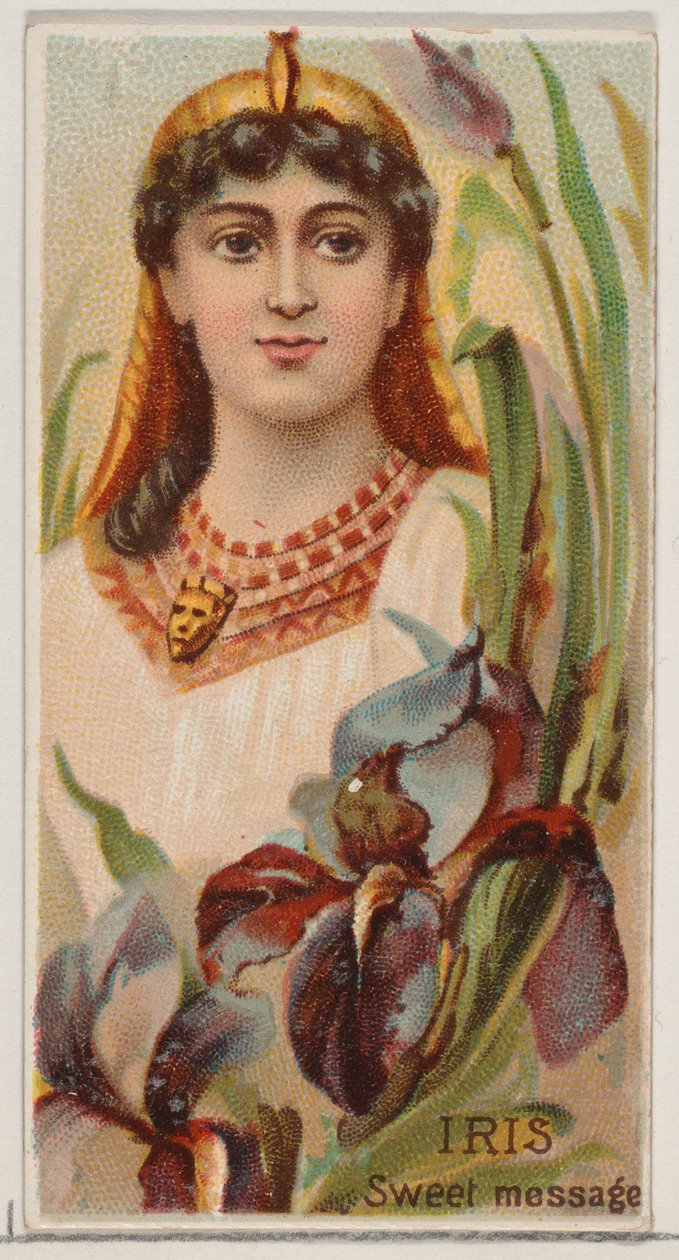 Iris: Sweet Message ، من سلسلة الأزهار الجميلة ولغة الزهور N75 لدوك ... ، 1892. بواسطة دونالدسون براذرز