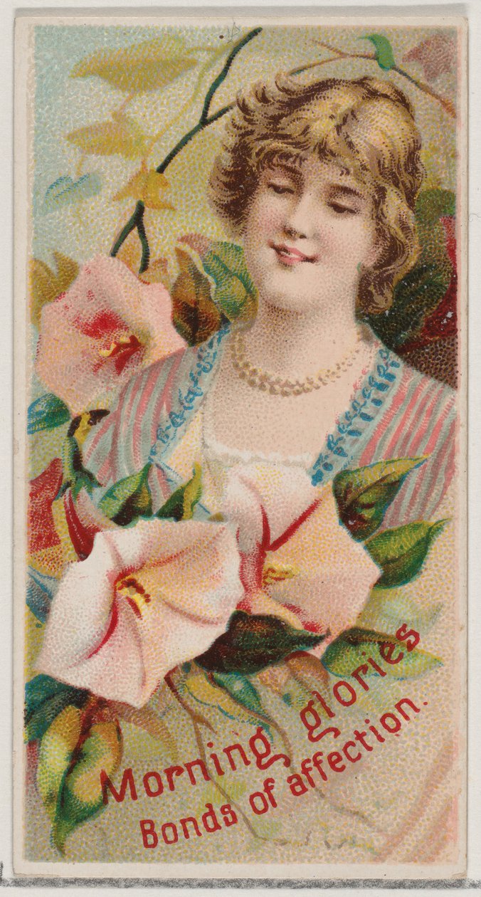 أمجاد الصباح: روابط المودة ، من سلسلة الجمال الزهري ولغة Flowe ... ، 1892. بواسطة دونالدسون براذرز